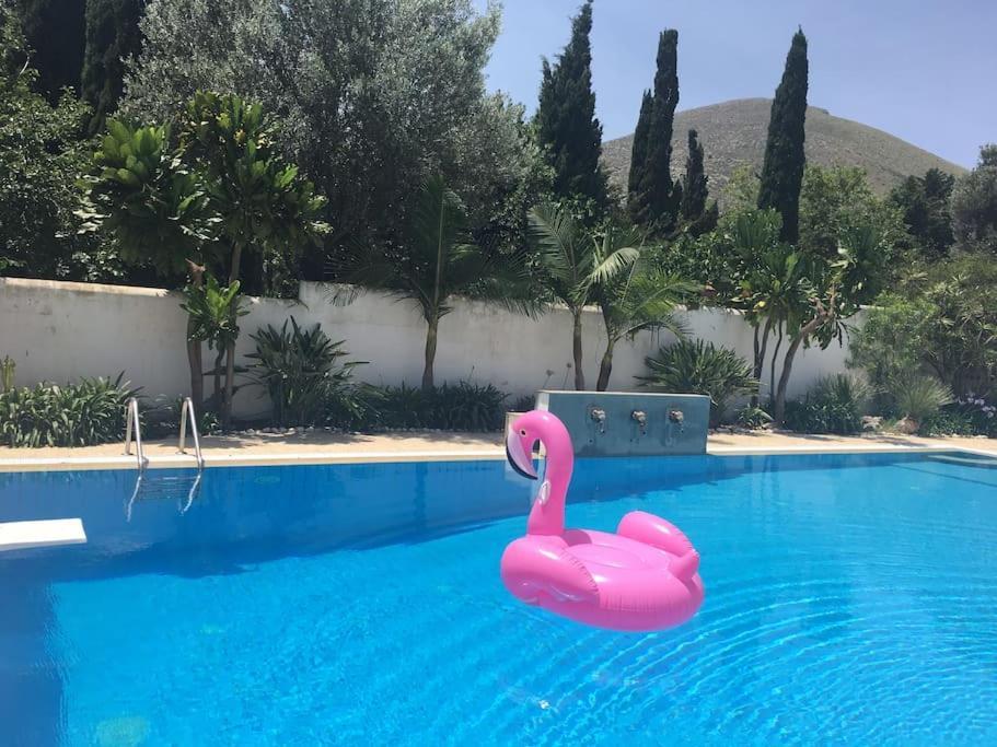 פלרמו Villa Elloise מראה חיצוני תמונה